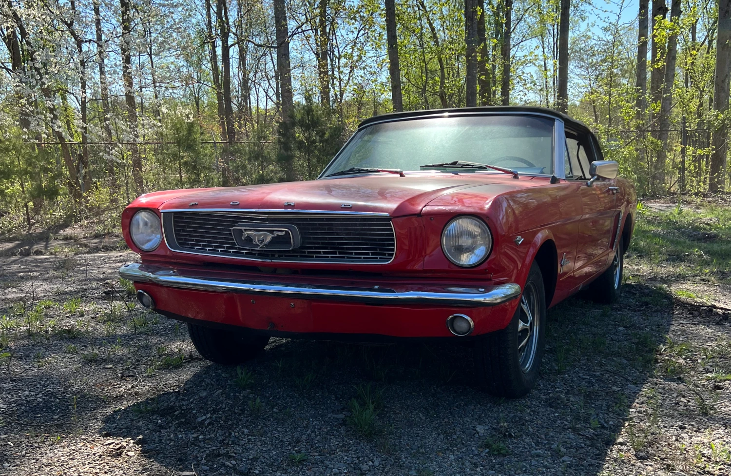 1965 Ford Mustang - View 4
