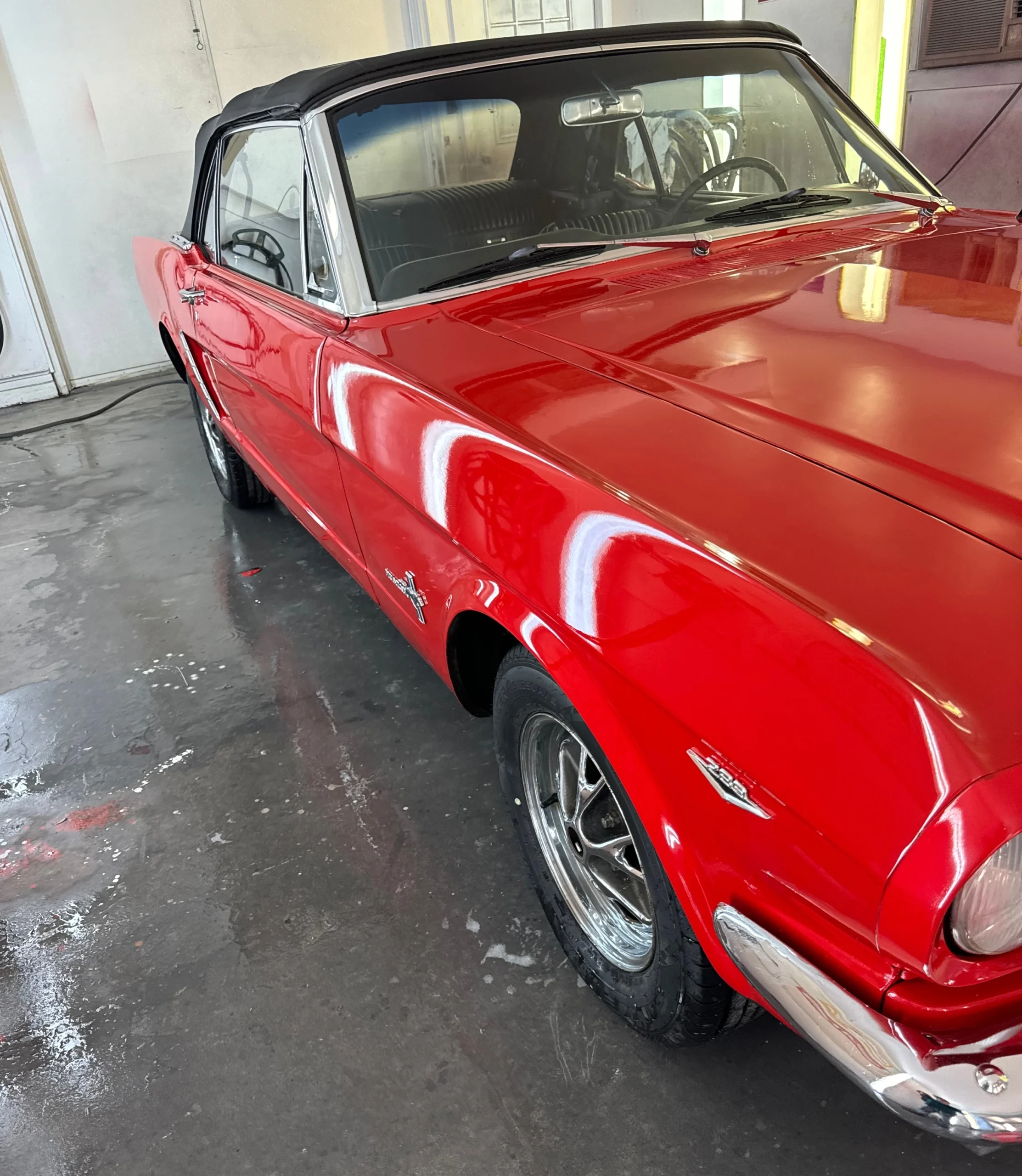 1965 Ford Mustang - View 9